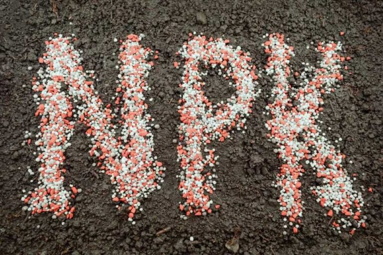 NPK műtrágya: Összetétel, előnyök és felhasználás