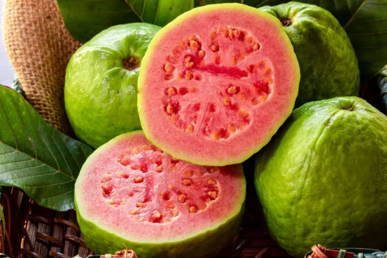 Guava: A trópusi csoda, ami tele van ízekkel és egészséggel