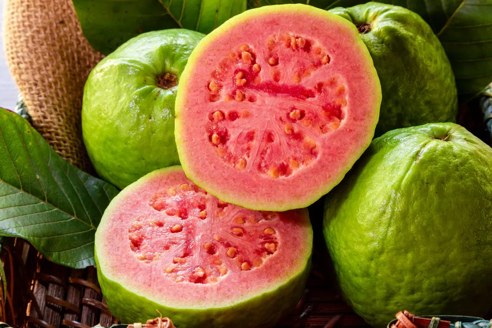 Guava: A trópusi csoda, ami tele van ízekkel és egészséggel