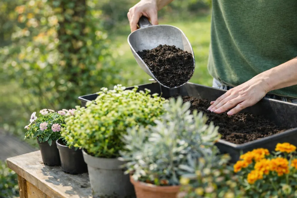 Növénygondozás alapjai – amit minden kertésznek tudnia kell: 15 bevált titok a szebb és egészségesebb kertért